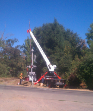 A crane is being used to lift a tree.